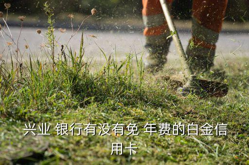 興業(yè)銀行標(biāo)準(zhǔn)金卡年費(fèi)