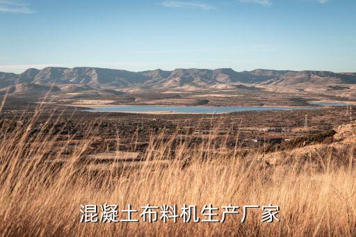  混凝土布料機生產廠家