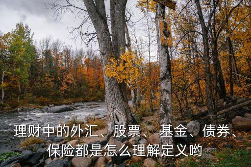理財(cái)中的外匯、股票、 基金、債券、保險(xiǎn)都是怎么理解定義喲