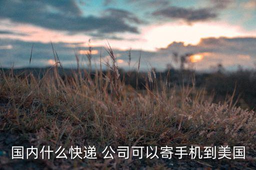 國內什么快遞 公司可以寄手機到美國