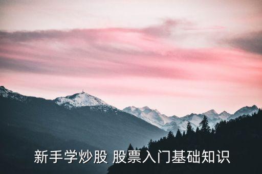 新手適合買(mǎi)什么股票