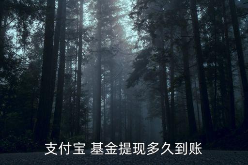 基金買(mǎi)了什么時(shí)候到賬戶,買(mǎi)基金什么時(shí)候可以取出