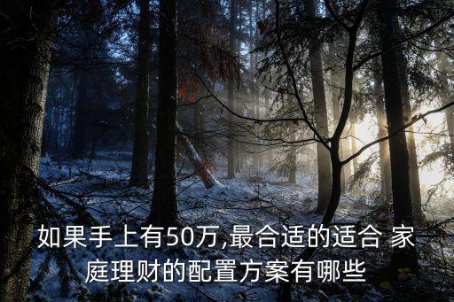 如果手上有50萬,最合適的適合 家庭理財(cái)?shù)呐渲梅桨赣心男? class=