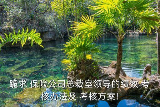 跪求 保險公司總裁室領(lǐng)導(dǎo)的績效 考核辦法及 考核方案!