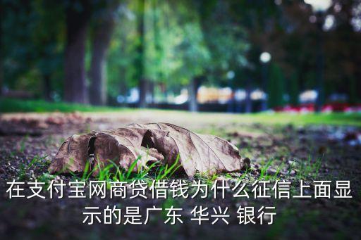 在支付寶網商貸借錢為什么征信上面顯示的是廣東 華興 銀行
