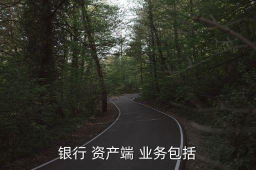 銀行 資產端 業(yè)務包括
