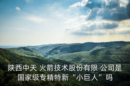 陜西中天 火箭技術(shù)股份有限 公司是國家級(jí)專精特新“小巨人”嗎
