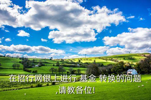 在招行網(wǎng)銀上進(jìn)行 基金 轉(zhuǎn)換的問題,請教各位!
