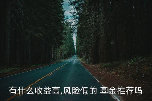 有什么收益高,風(fēng)險(xiǎn)低的 基金推薦嗎