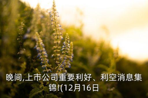 上海浦東建設集團