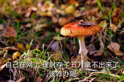 自己在網(wǎng)上 理財(cái)存了五萬(wàn)拿不出來(lái)了,該咋辦呢