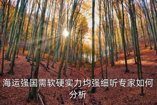 海運強國需軟硬實力均強細聽專家如何分析