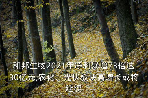 和邦生物2021年凈利暴增73倍達30億元,農化、光伏板塊高增長或將延續(xù)