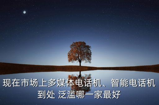 現(xiàn)在市場上多媒體電話機(jī)、智能電話機(jī)到處 泛濫哪一家最好