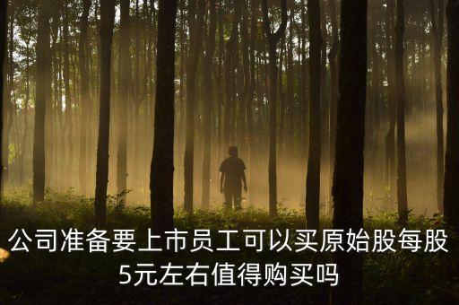 公司準(zhǔn)備要上市員工可以買原始股每股5元左右值得購(gòu)買嗎
