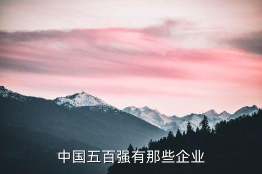 中國五百強(qiáng)有那些企業(yè)