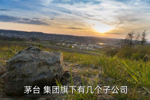  茅臺 集團(tuán)旗下有幾個(gè)子公司