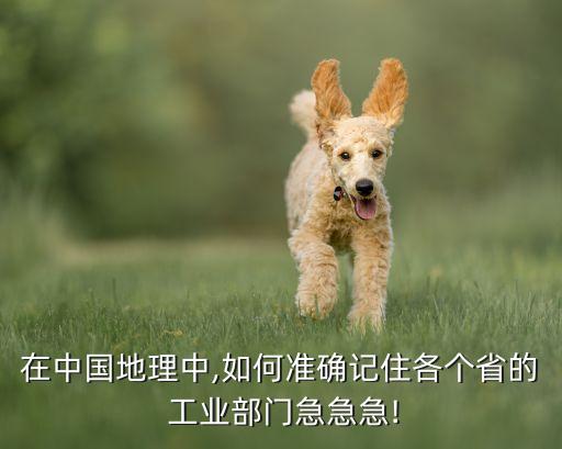 在中國(guó)地理中,如何準(zhǔn)確記住各個(gè)省的 工業(yè)部門急急急!