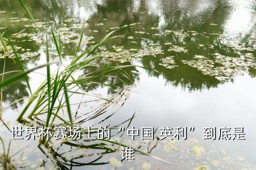 世界杯賽場(chǎng)上的“中國(guó) 英利”到底是誰