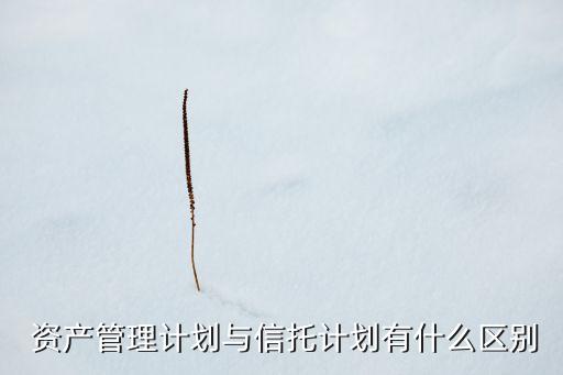  資產管理計劃與信托計劃有什么區(qū)別