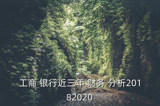 工商 銀行近三年 財務 分析20182020