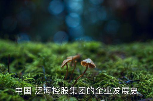 中國(guó) 泛?？毓杉瘓F(tuán)的企業(yè)發(fā)展史