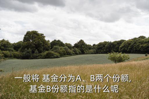 一般將 基金分為A、B兩個份額, 基金B(yǎng)份額指的是什么呢