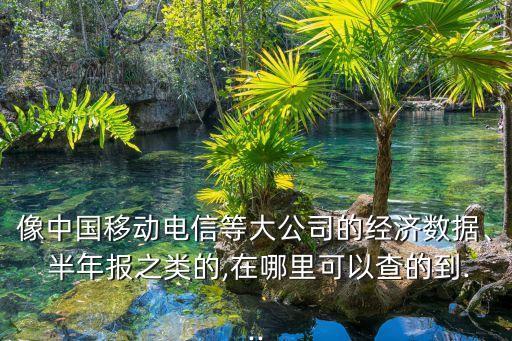 像中國移動電信等大公司的經(jīng)濟(jì)數(shù)據(jù)、 半年報之類的,在哪里可以查的到...