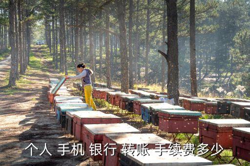 手機(jī)銀行轉(zhuǎn)賬要手續(xù)費(fèi),在手機(jī)銀行轉(zhuǎn)賬轉(zhuǎn)錯了怎么辦