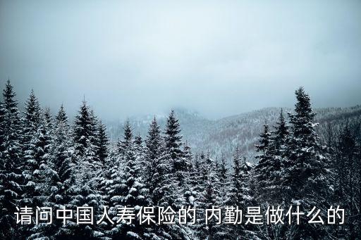 請(qǐng)問中國(guó)人壽保險(xiǎn)的 內(nèi)勤是做什么的