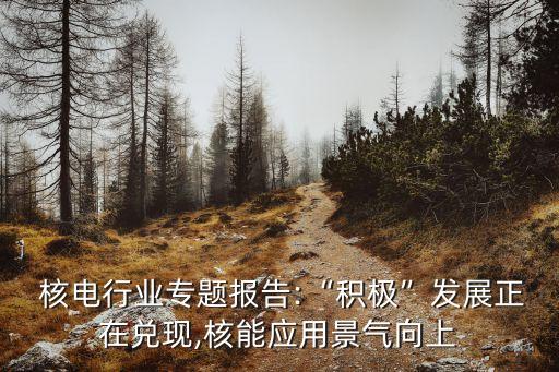  核電行業(yè)專題報告:“積極”發(fā)展正在兌現(xiàn),核能應用景氣向上