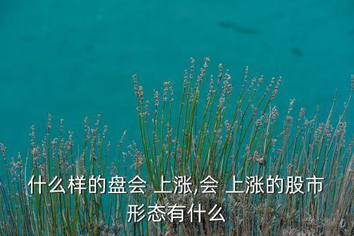 什么樣的盤會 上漲,會 上漲的股市形態(tài)有什么