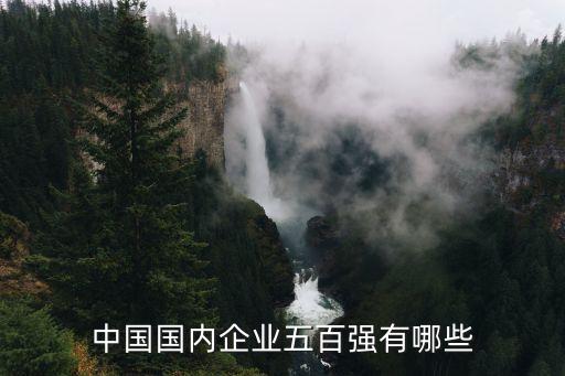 中國國內(nèi)企業(yè)五百強(qiáng)有哪些