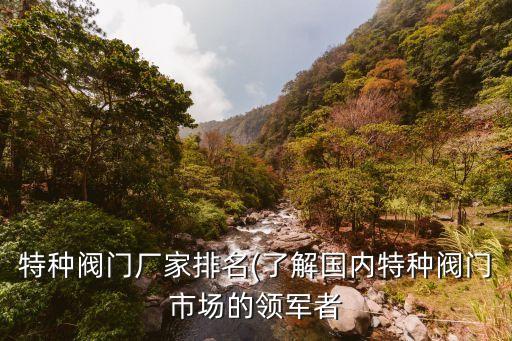 特種閥門(mén)廠家排名(了解國(guó)內(nèi)特種閥門(mén)市場(chǎng)的領(lǐng)軍者