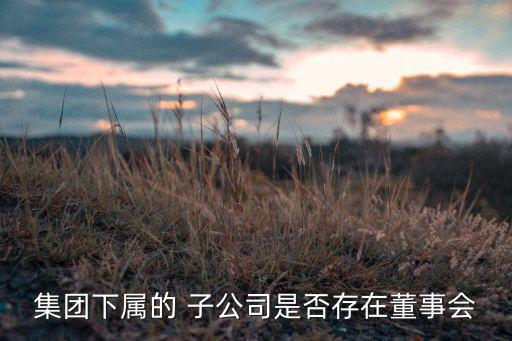 集團(tuán)下屬的 子公司是否存在董事會
