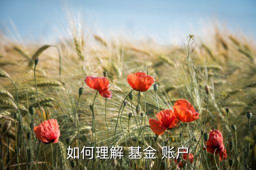 基金交易賬戶和基金賬戶的區(qū)別,醫(yī)保賬戶與醫(yī)?；鹳~戶區(qū)別