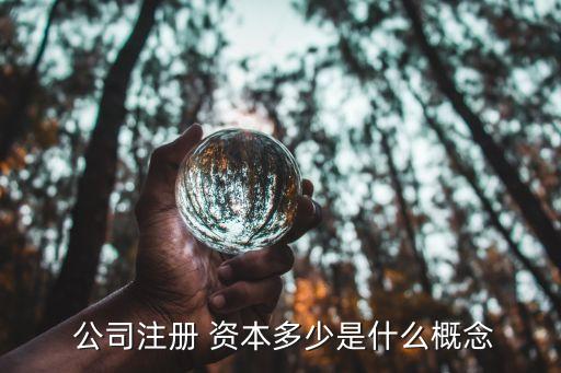 公司章程注冊(cè)資本