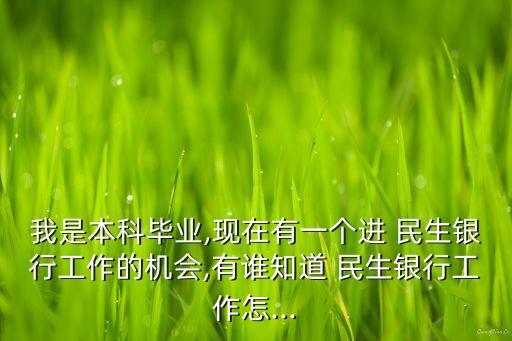 我是本科畢業(yè),現(xiàn)在有一個(gè)進(jìn) 民生銀行工作的機(jī)會,有誰知道 民生銀行工作怎...