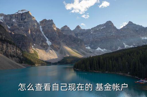 嘉實基金賬號查詢,嘉實070022基金凈值查詢