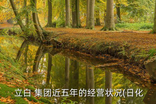  立白 集團近五年的經(jīng)營狀況(日化