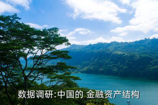 數(shù)據(jù)調(diào)研:中國的 金融資產(chǎn)結構