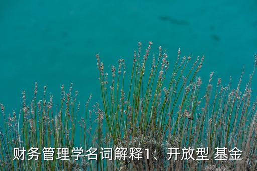 財(cái)務(wù)管理學(xué)名詞解釋1、開放型 基金