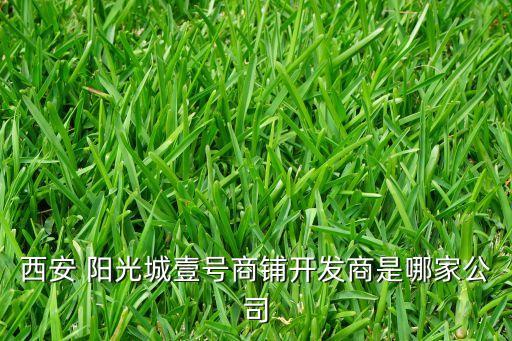 西安 陽(yáng)光城壹號(hào)商鋪開發(fā)商是哪家公司