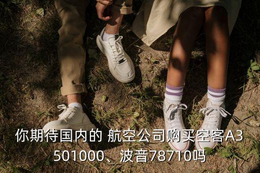 你期待國(guó)內(nèi)的 航空公司購(gòu)買(mǎi)空客A3501000、波音78710嗎