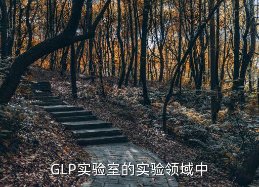 GLP實驗室的實驗領(lǐng)域中