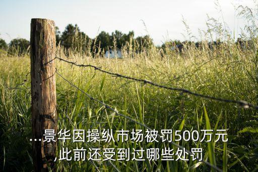 ...景華因操縱市場(chǎng)被罰500萬元,此前還受到過哪些處罰