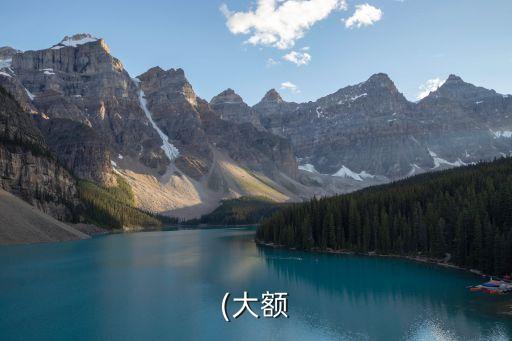 (大額