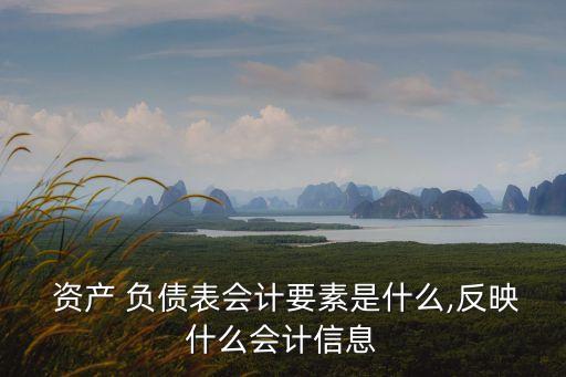  資產(chǎn) 負(fù)債表會(huì)計(jì)要素是什么,反映什么會(huì)計(jì)信息