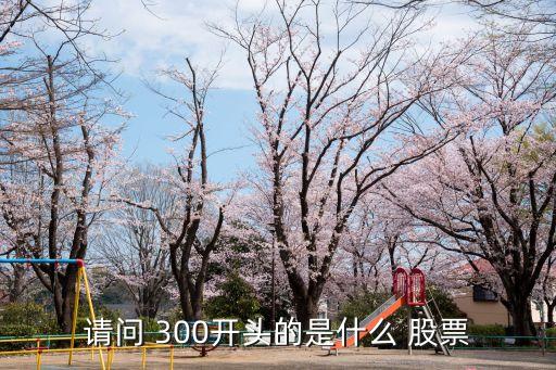 請(qǐng)問(wèn) 300開頭的是什么 股票