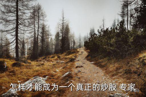 怎樣才能成為一個(gè)真正的炒股 專(zhuān)家